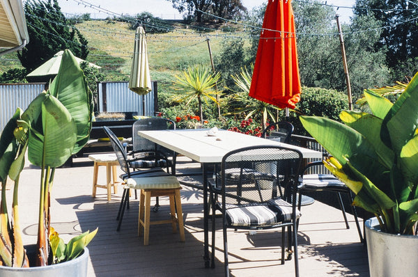 How To Keep Your Garden Green